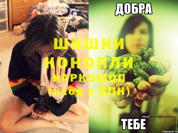 apvp Ростов