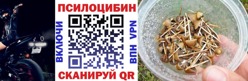 как найти Грязовец Псилоцибиновые грибы Magic Shrooms
